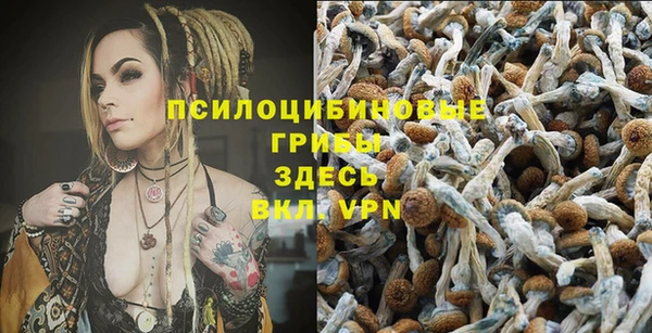 mdma Новокубанск
