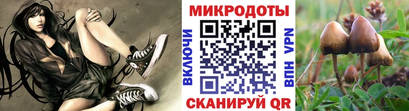 Галлюциногенные грибы мухоморы  цены наркотик  Советск 